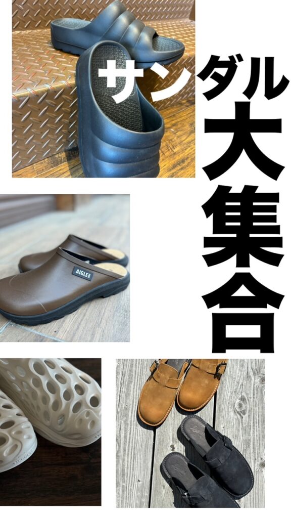 $fields['main_image']['alt']