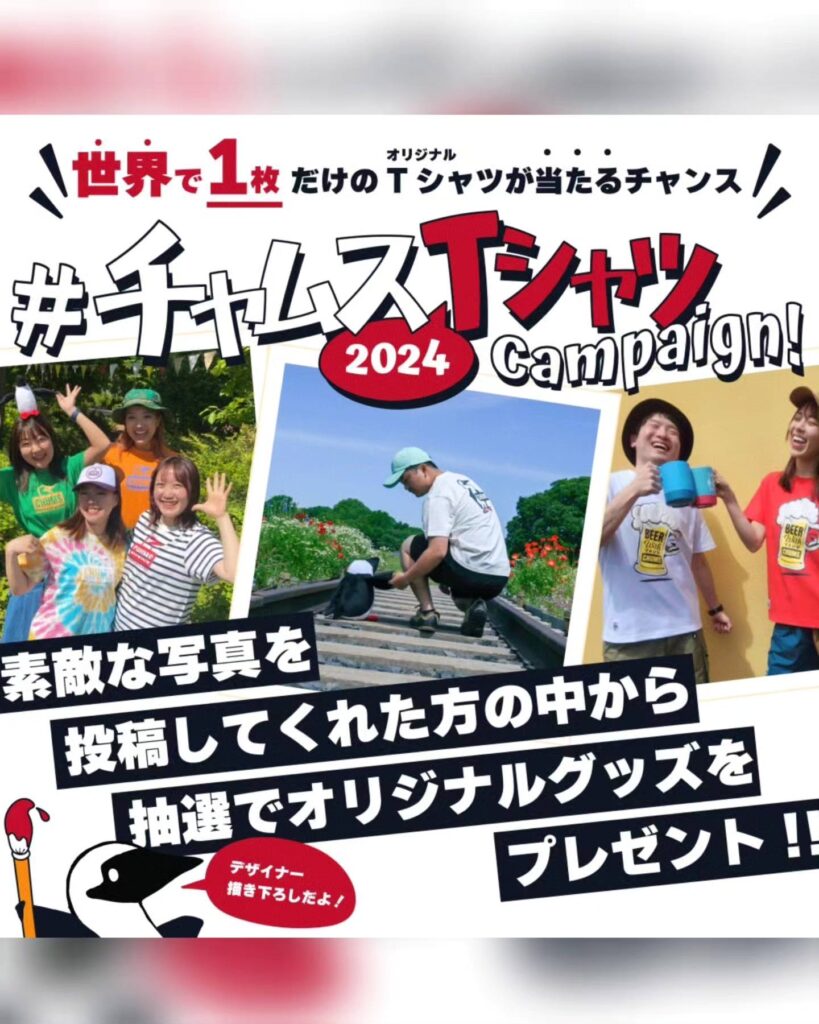 $fields['main_image']['alt']