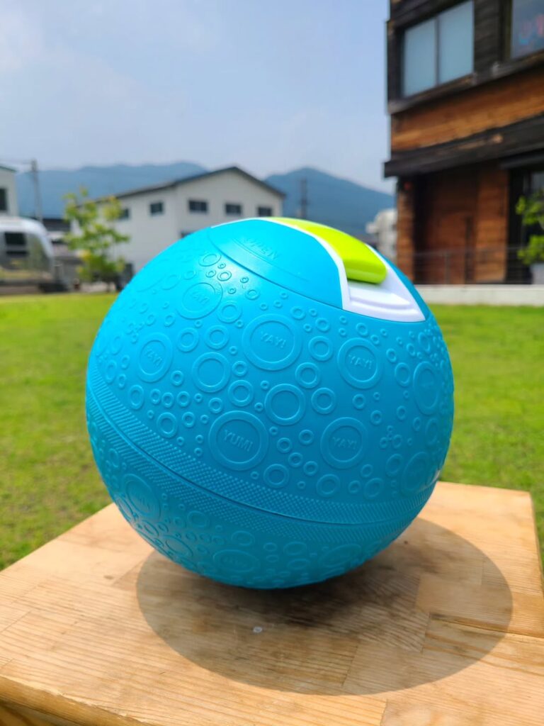 $fields['main_image']['alt']