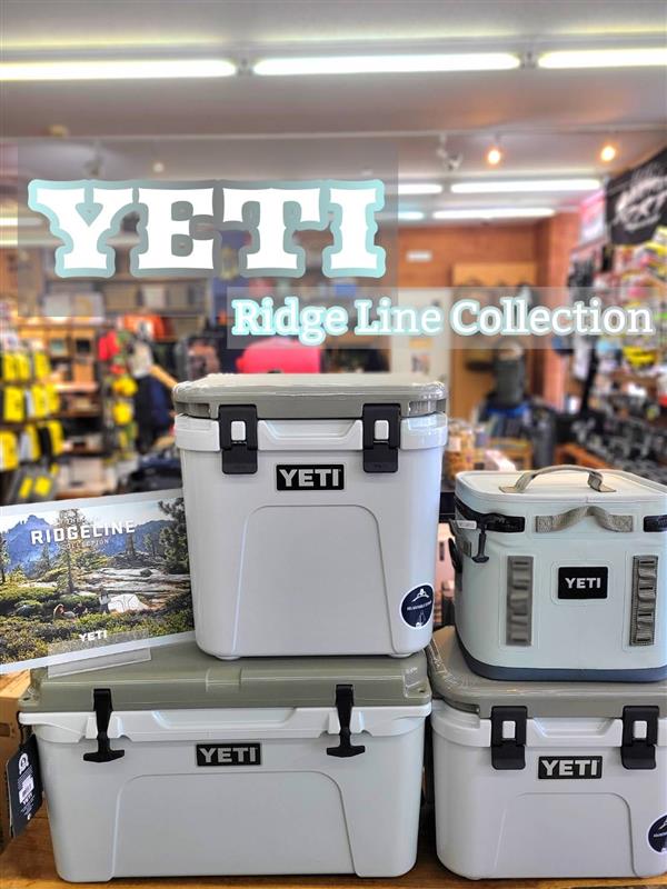 $fields['main_image']['alt']